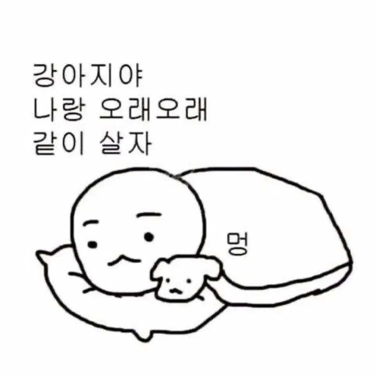 스키주 콩키주 뽁아리 리빗 돼끼 찌콩이 뽁삐 푸딩 파일럿 매직스쿨