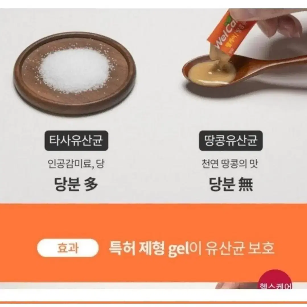 땅콩유산균