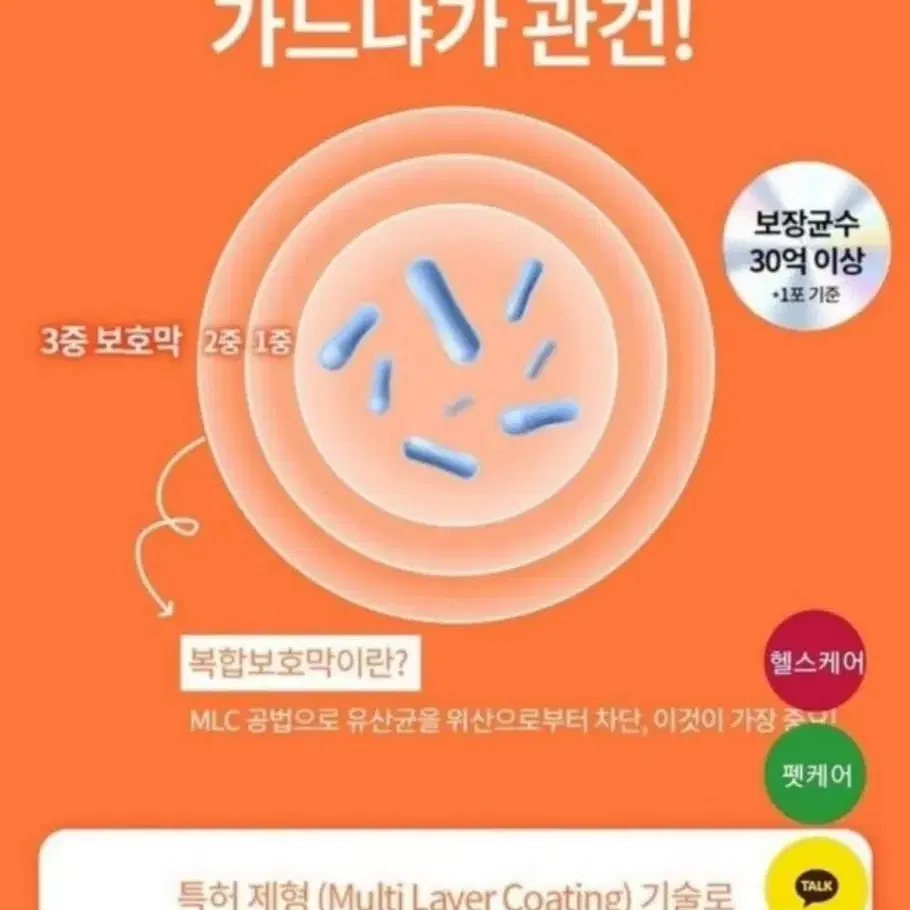 땅콩유산균