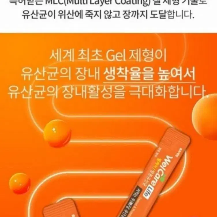 땅콩유산균