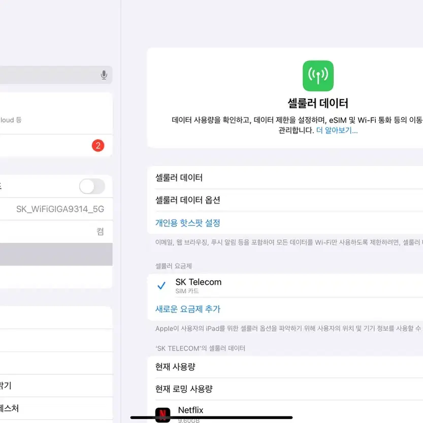 아이패드 에어 4 64gb 셀룰러모델