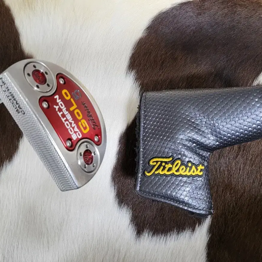 스카티카메론 Scotty Cameron 고로 GOLO5 퍼터