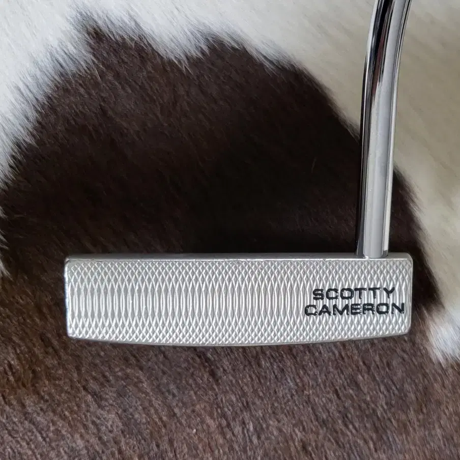 스카티카메론 Scotty Cameron 고로 GOLO5 퍼터