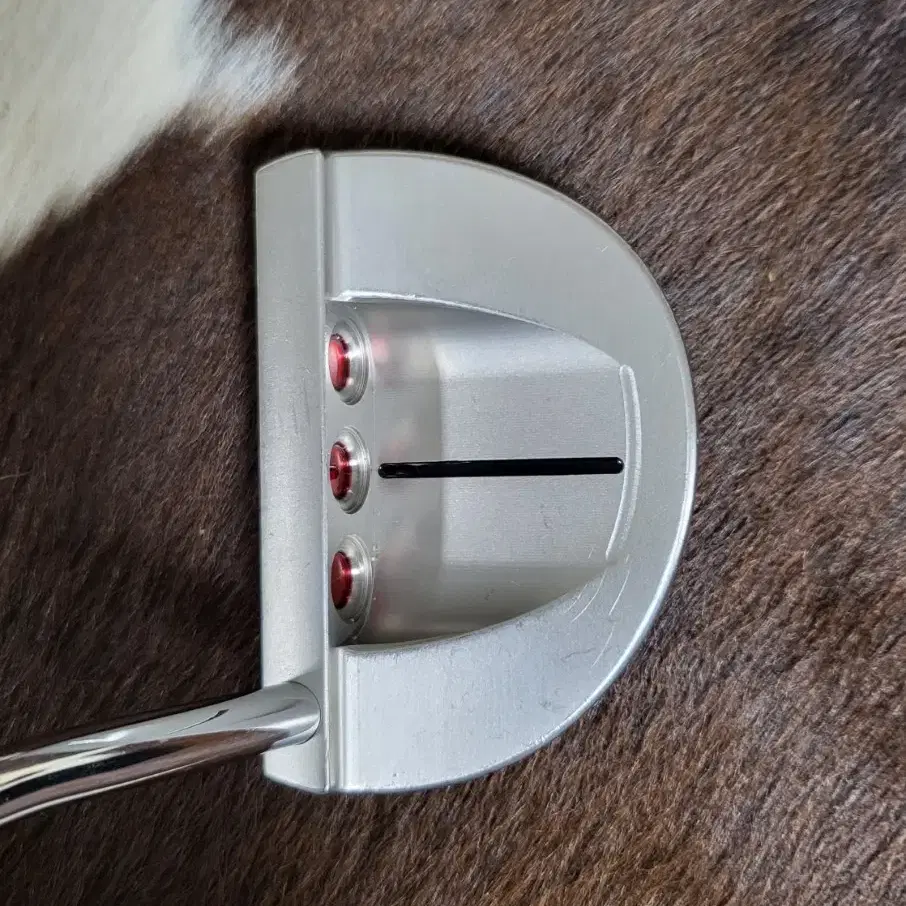 스카티카메론 Scotty Cameron 고로 GOLO5 퍼터