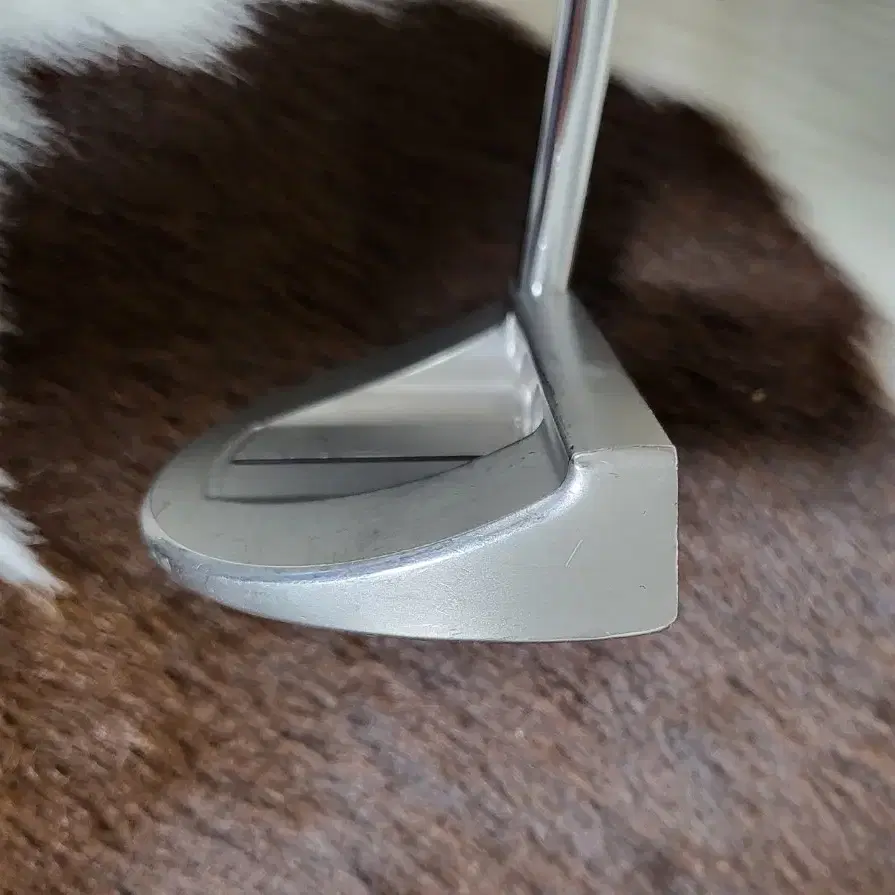 스카티카메론 Scotty Cameron 고로 GOLO5 퍼터