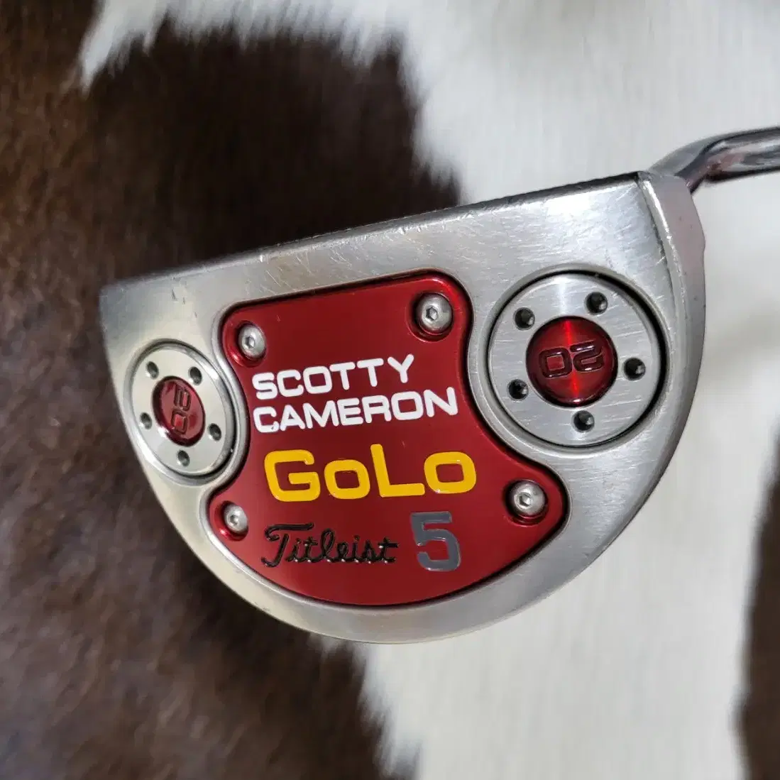 스카티카메론 Scotty Cameron 고로 GOLO5 퍼터