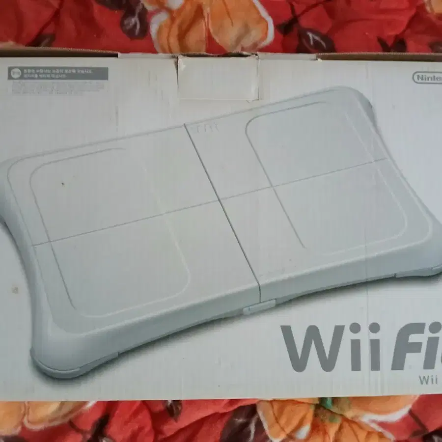 Wii 피트 박스