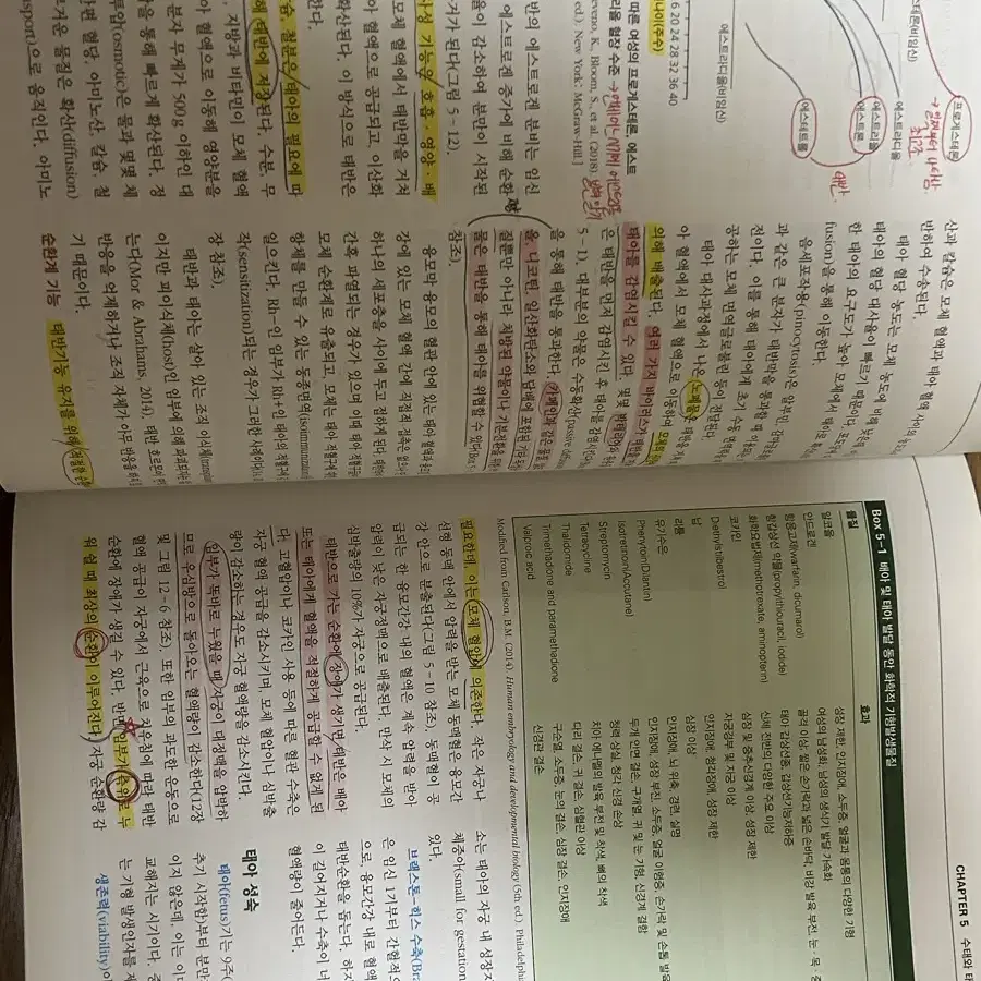 현문사 모성여성건강간호학 1