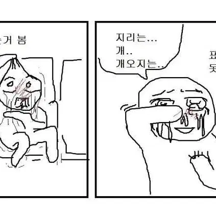 애니 굿즈 무료나눔 받아요! @@ 아미보카드와 교환 가능