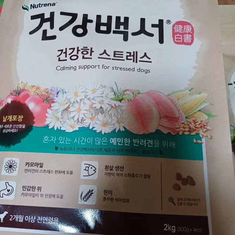 애견 사류 밑 간식 개껌