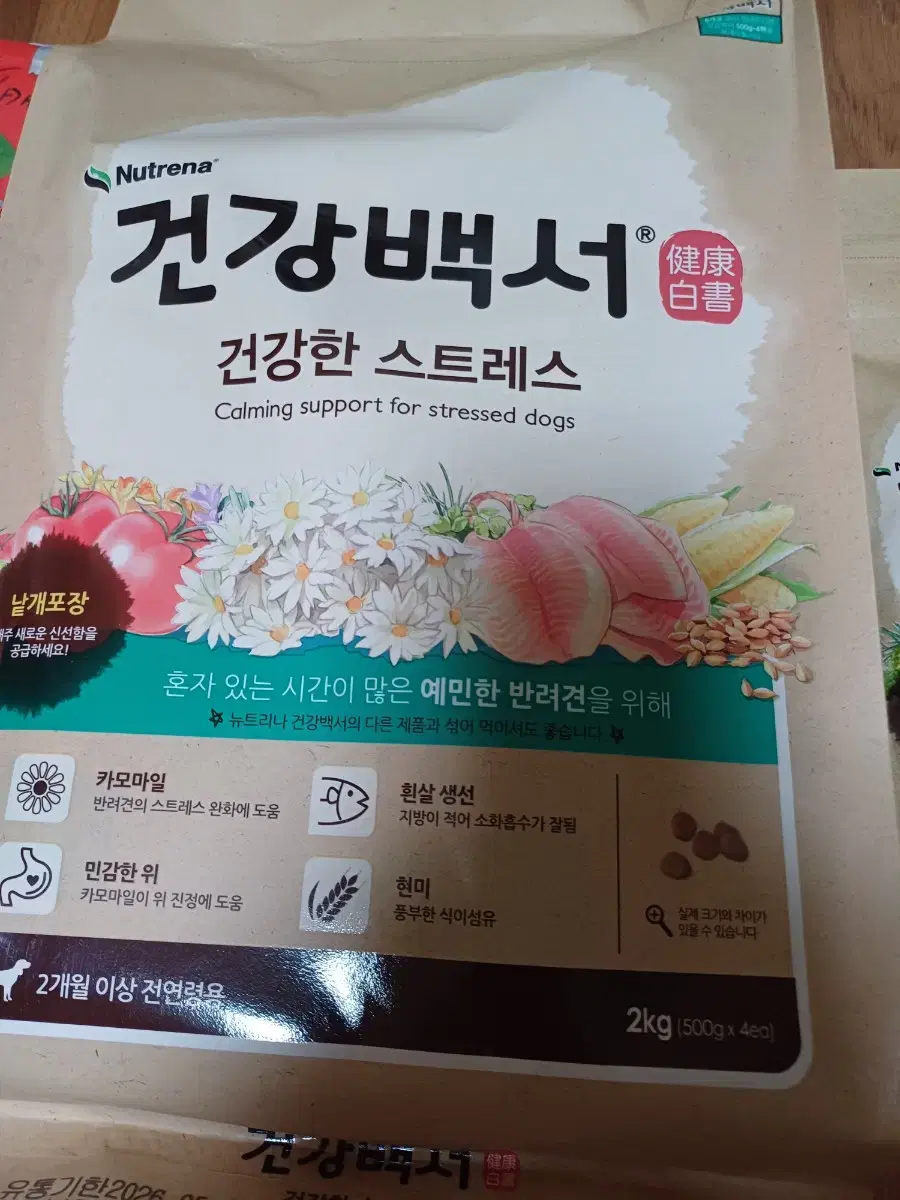 애견 사류 밑 간식 개껌