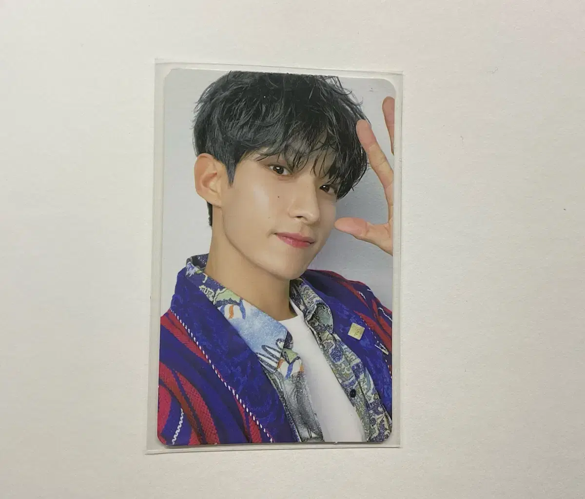 세븐틴 인컴플릿 콘서트 DVD 도겸 포카 *하자