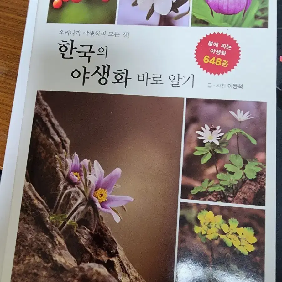 한국의 야생화 바로알기