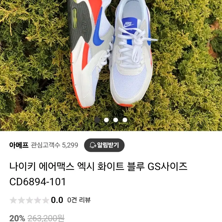 나이키 에어맥스 엑시  240