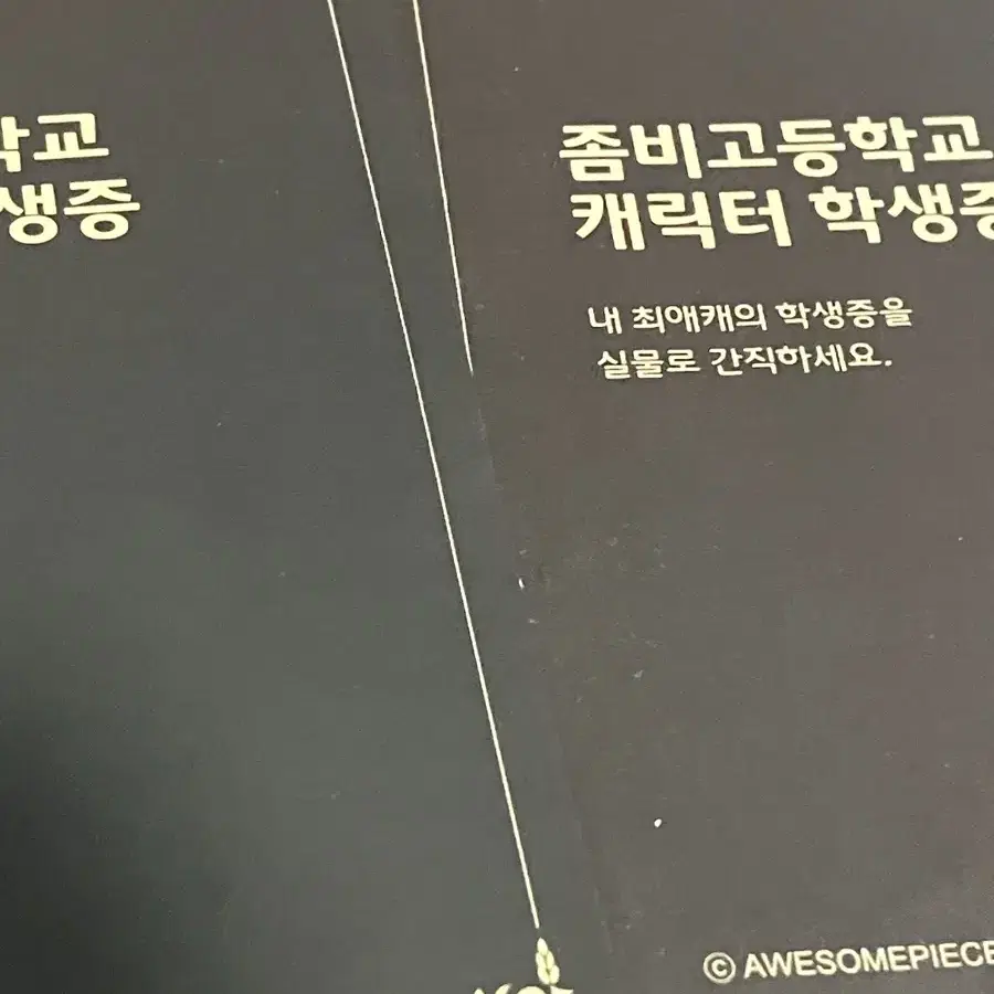 (일괄)좀비고 이세빈 박수빈 학생증 일괄판매 합니다