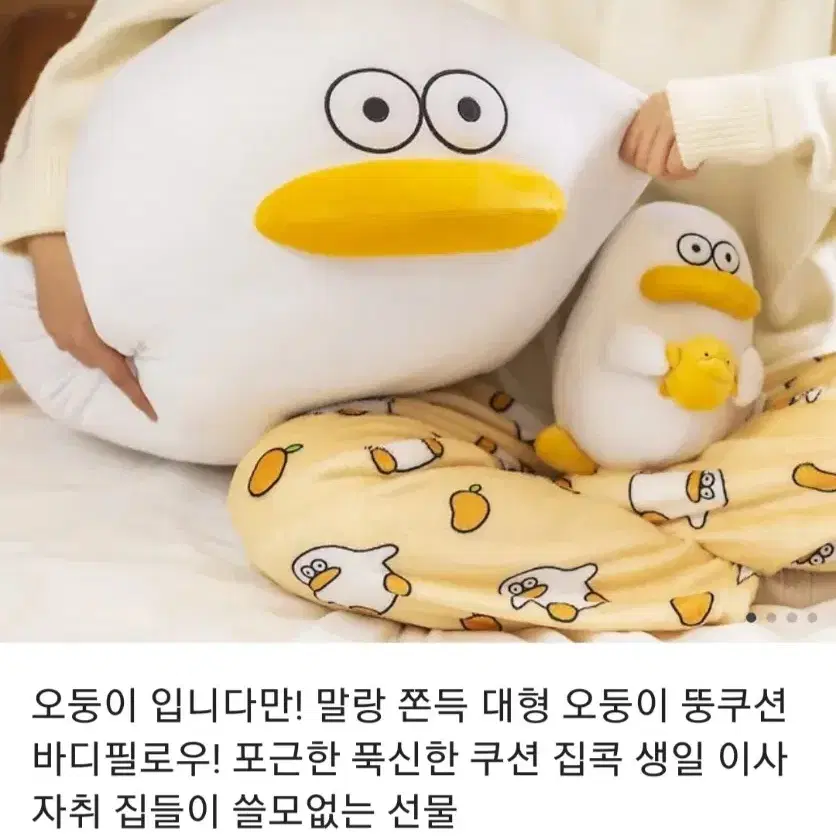 오둥이 뚱쿠션 새상품