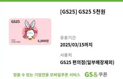 GS25 5천원