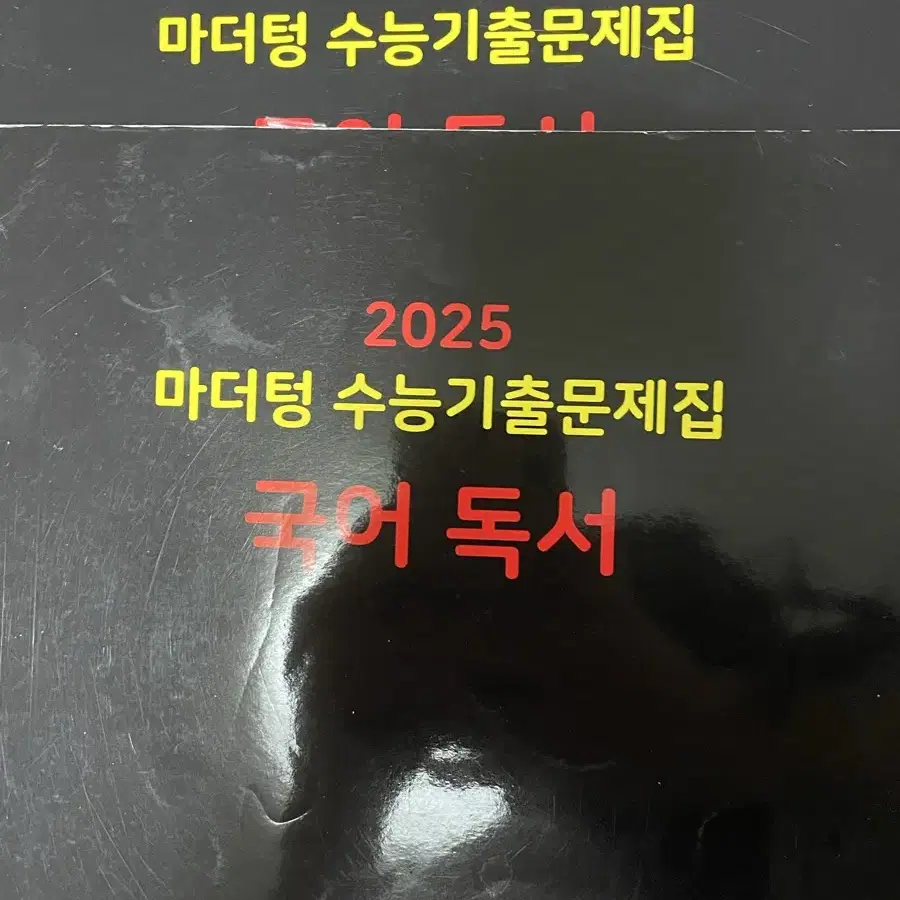 2025 마더텅 고3 독서