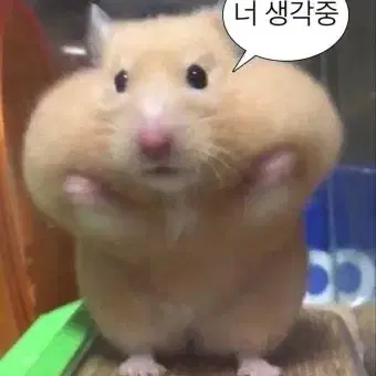 아이브 포카 양도합니다!!