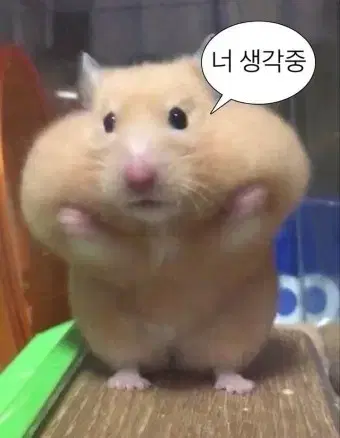 아이브 포카 양도합니다!!