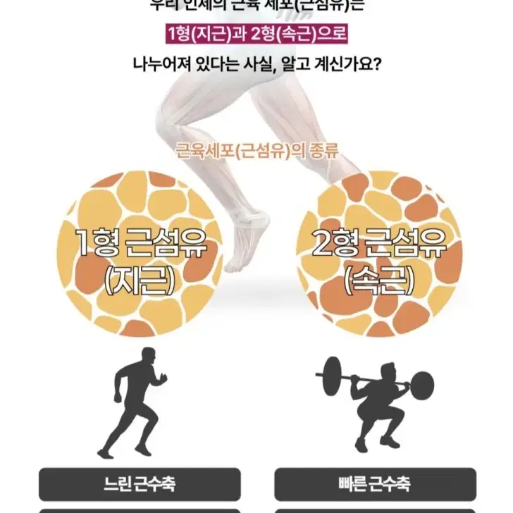 <12만원상당 새상품> 더블워킹 종아리안마기 EMS다리운동기기