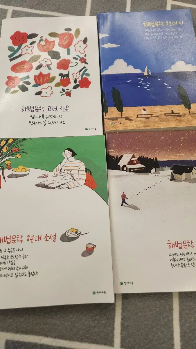 해법문학 (고전산문, 현대시, 현대 소설, 수필. 극)