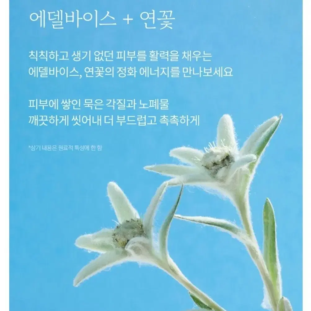 초대용량 샴푸/트리트먼트/바디워시 (새제품) 약산성