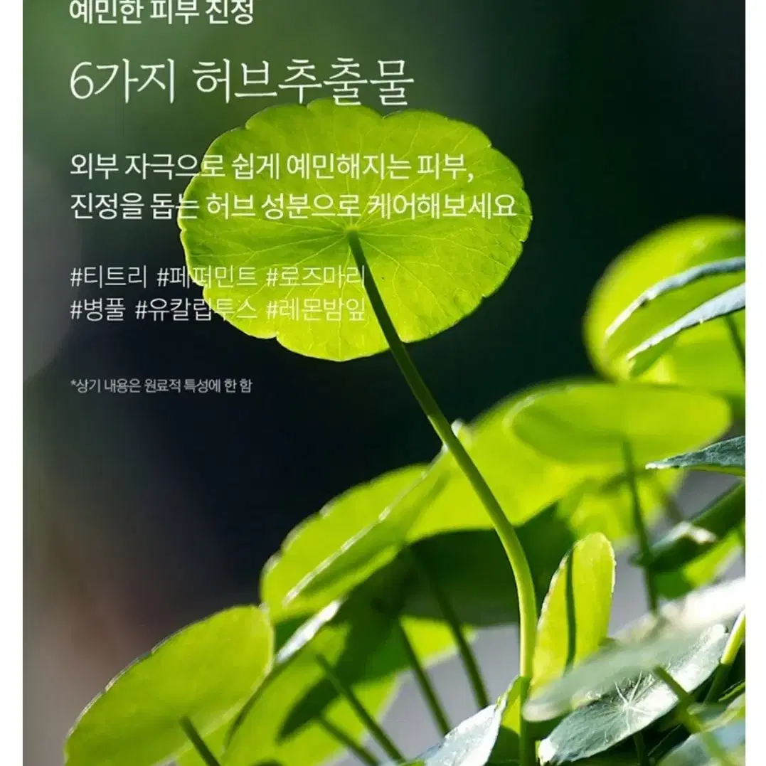 초대용량 샴푸/트리트먼트/바디워시 (새제품) 약산성