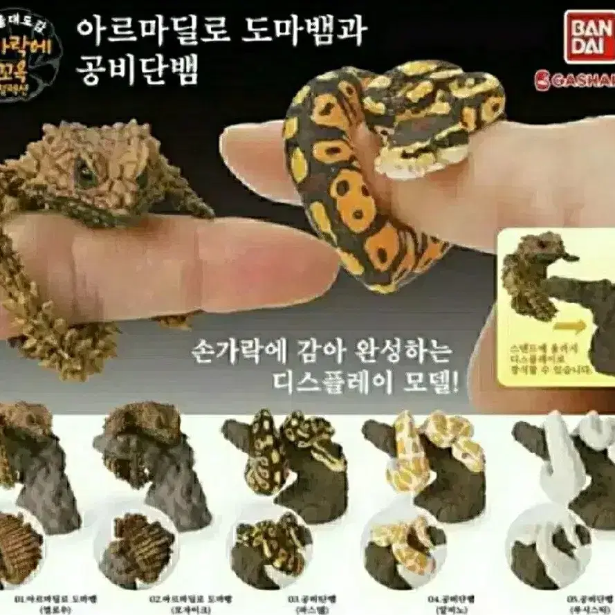 생물대도감 손가락에 꼬옥 갑옷 도마뱀과 공비단뱀 캡슐토이 갸차 뽑기 일본