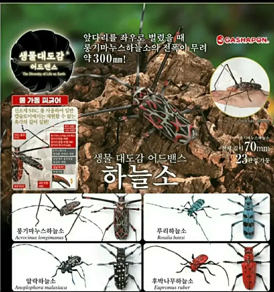 캡슐토이 가챠 생물대도감 어드밴스 하늘소 곤충 파충류 피규어 프라모델