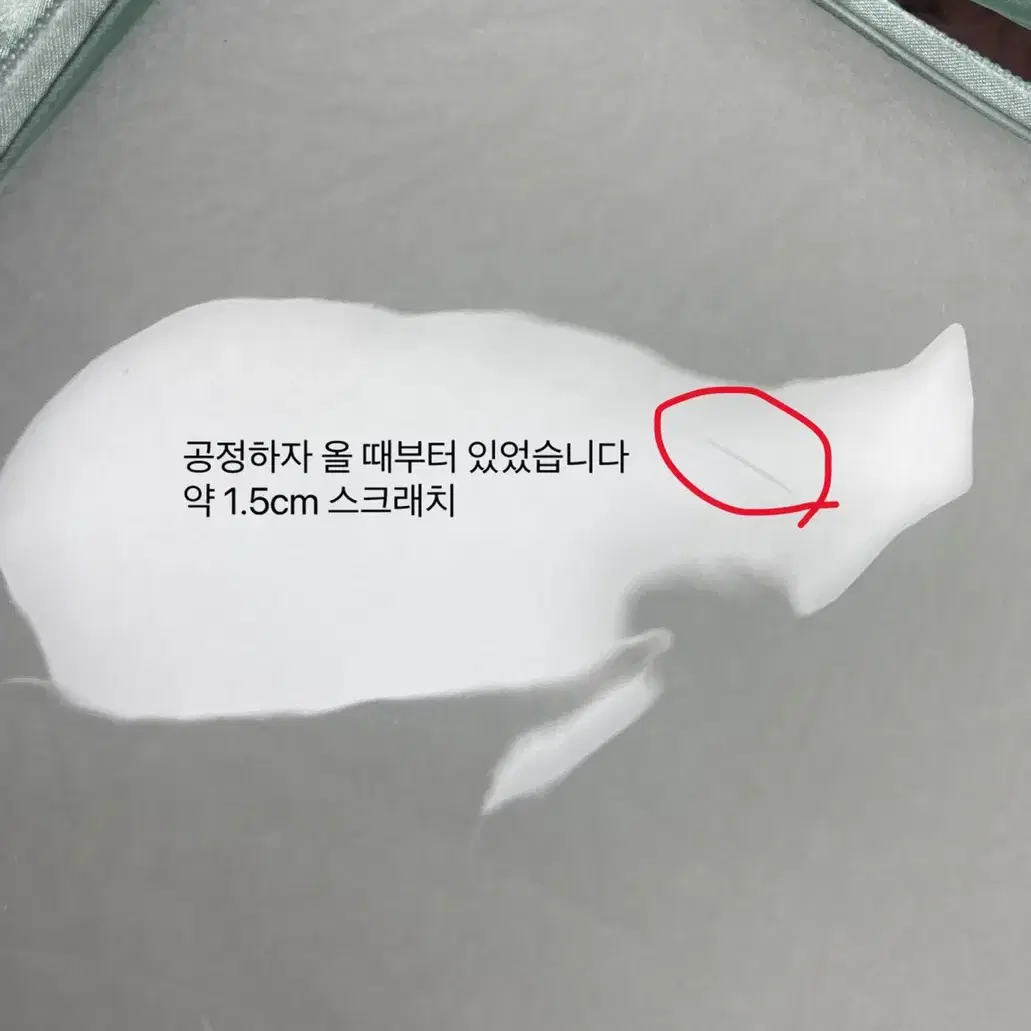 후유네코 이타백 릴리안 새틴 프릴 그린 민트