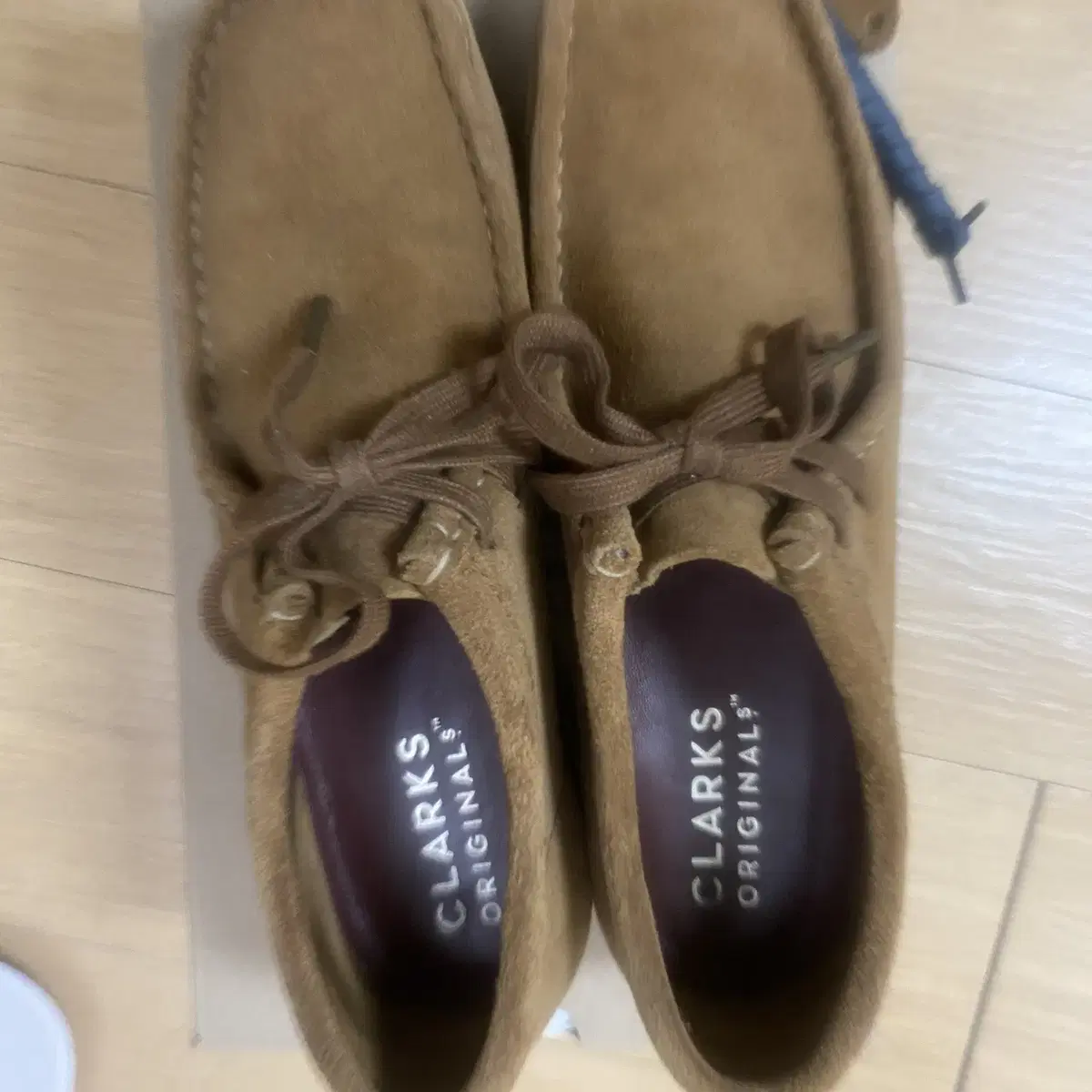 CLARKS 클락스 왈라비 콜라 250