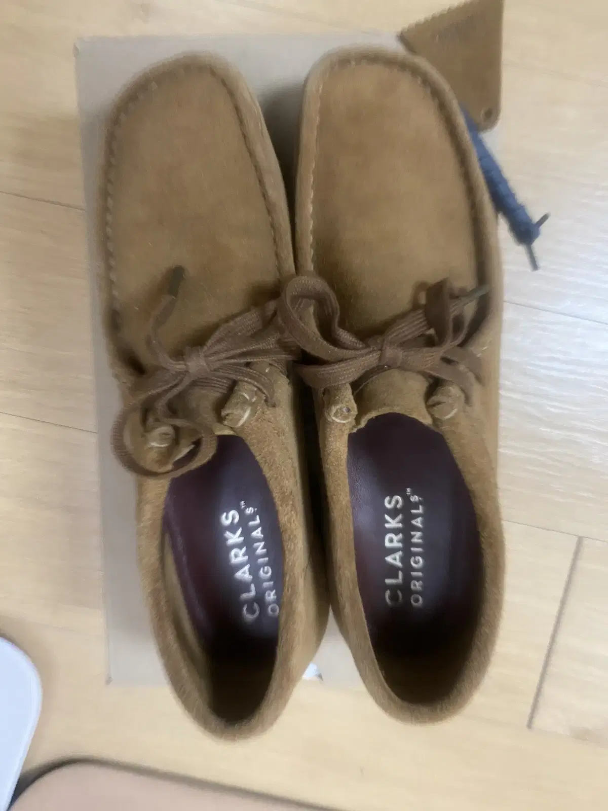 CLARKS 클락스 왈라비 콜라 250