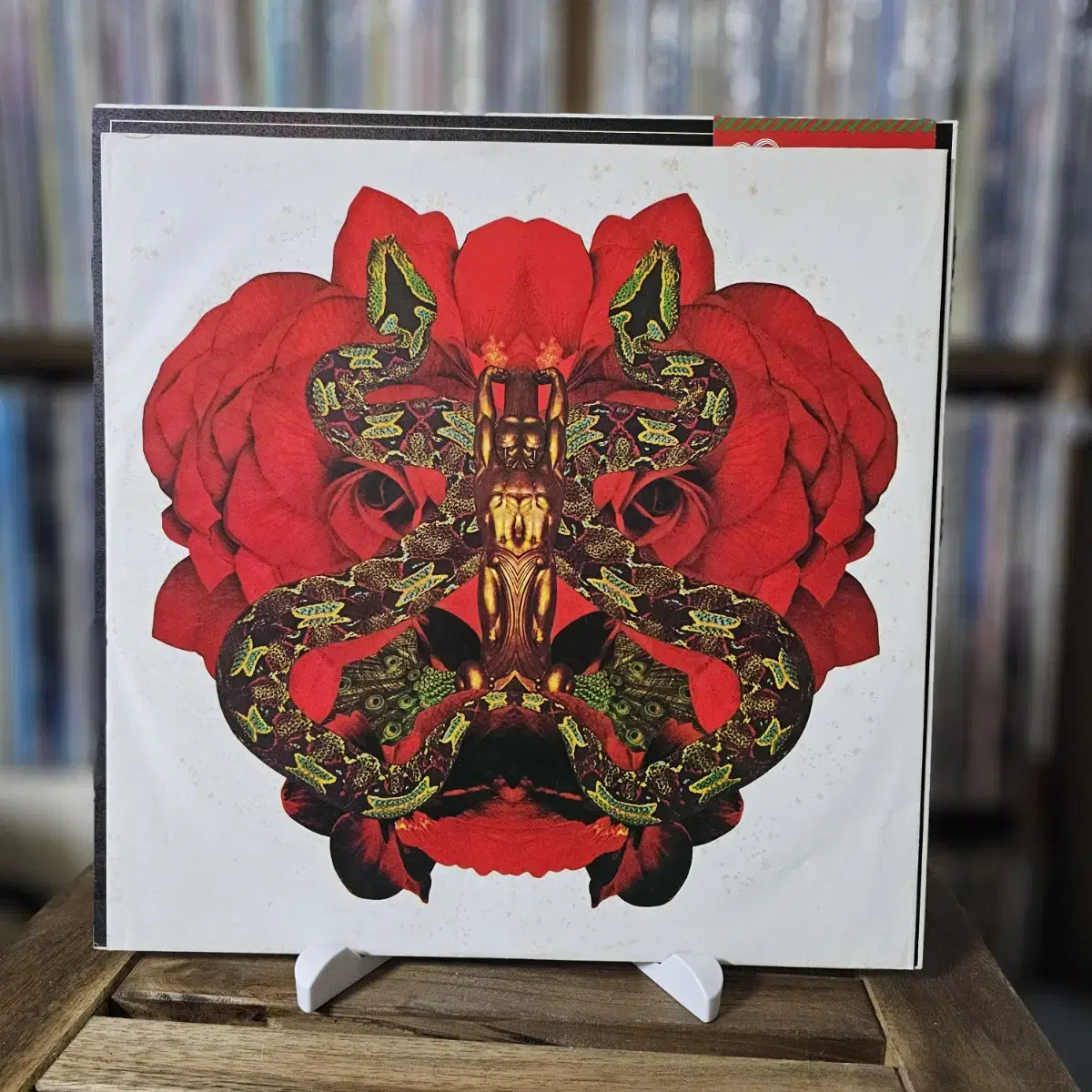 (민트급, 산타나) Santana - 8집 Festival LP