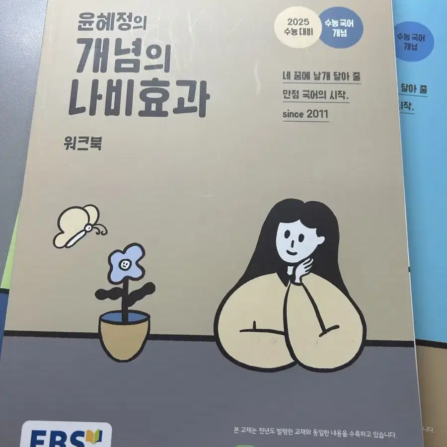 윤혜정 개념의 나비효과 팔아요