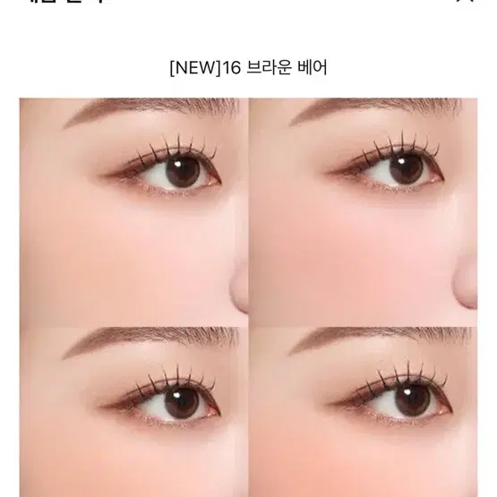 데이지크 블렌딩 무드 치크 16 브라운베어