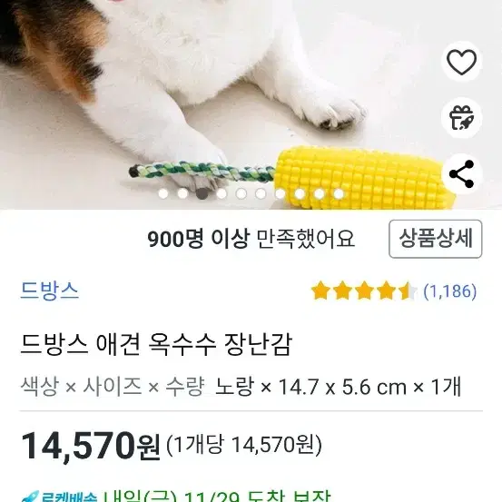 강아지장난감