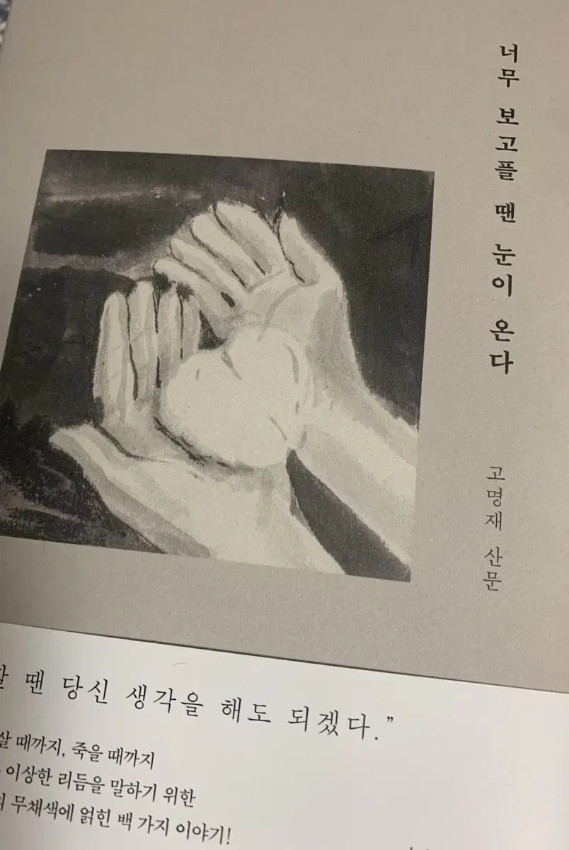 너무 보고플 땐 눈이 온다 (난다) 고명재 시인 산문집 소설