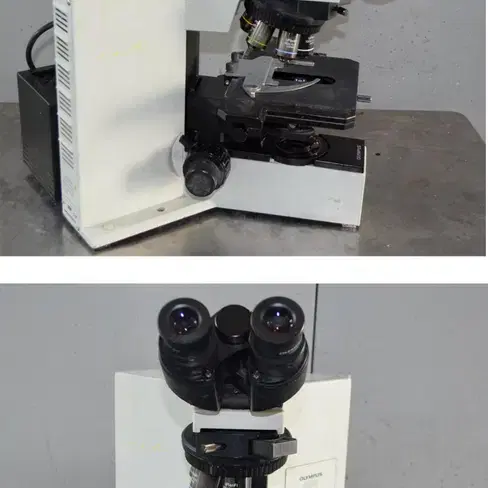 Olympus BX50 Microscope