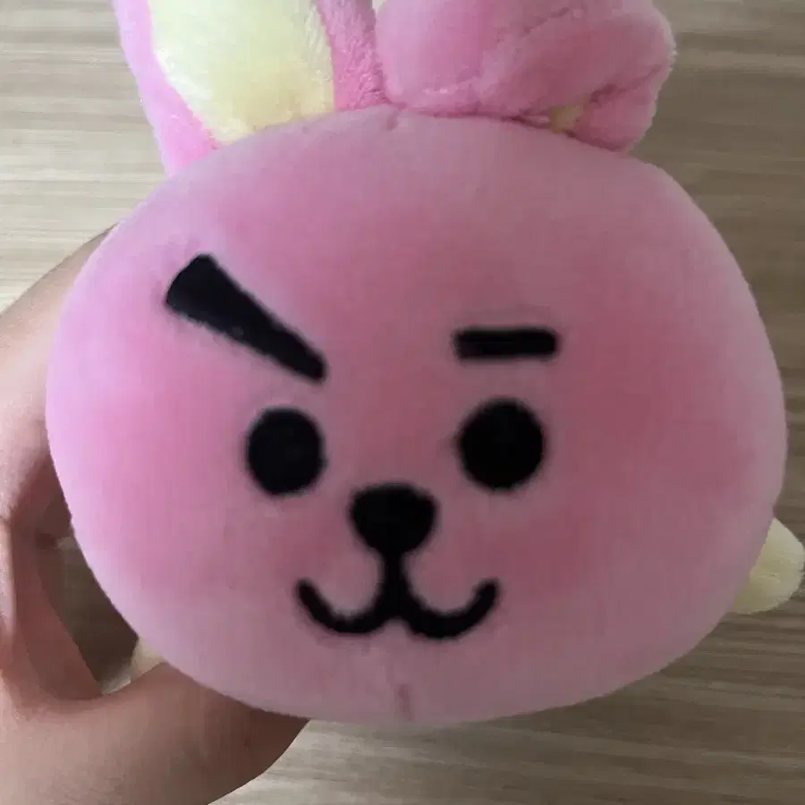 BTS BT21 정국 쿠키 인형