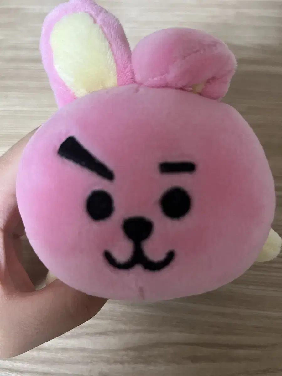 BTS BT21 정국 쿠키 인형