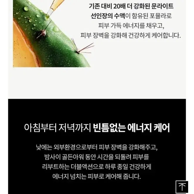 75%할인!! 입생로랑 퓨어 샷 나이트 리부트 세럼 리필 30ml