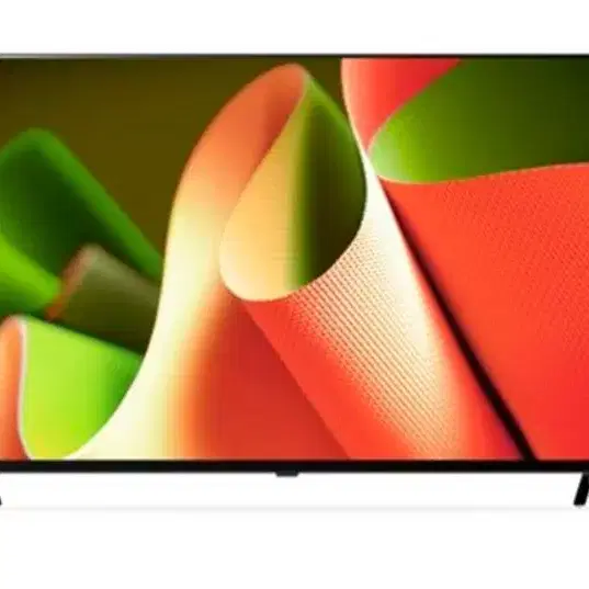 LG 65인치 OLED TV *새상품*