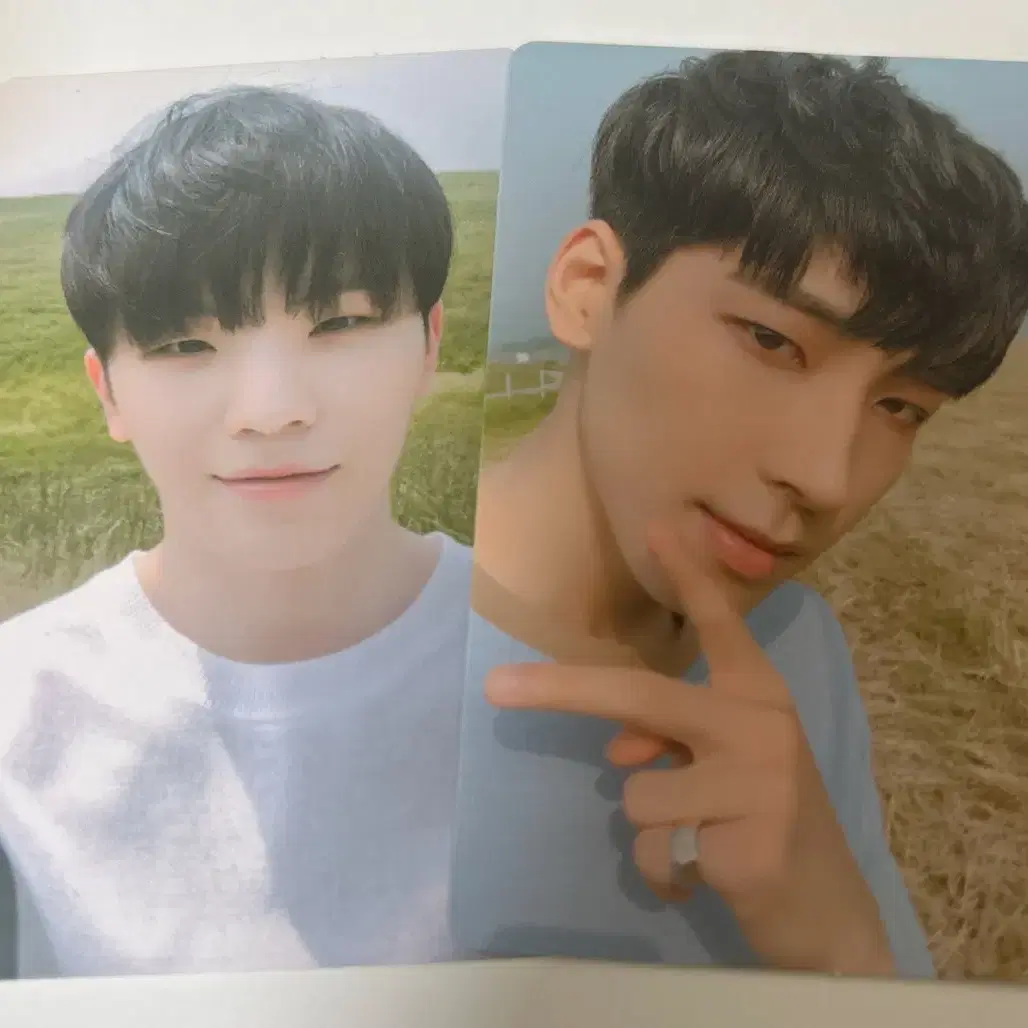 세븐틴 원우 지훈 포카