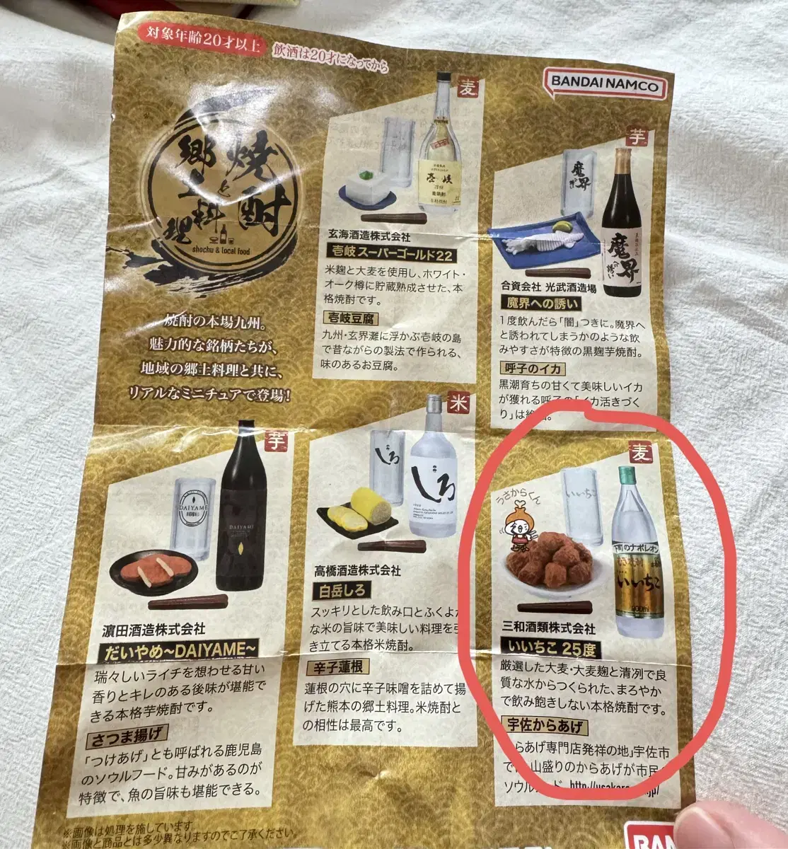 Kyushu Sake Souchu Karaage Gacha Iichiko