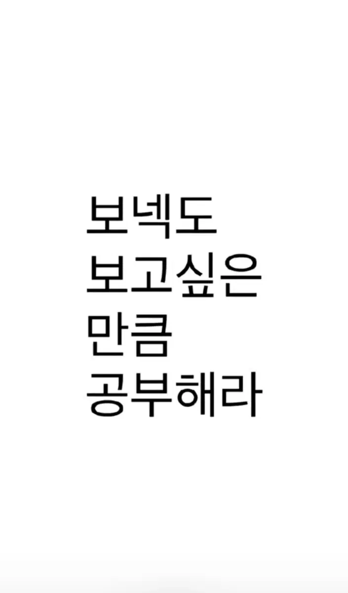 투어스 도훈 인형 투어쮸 또도 비공식 인형 양도