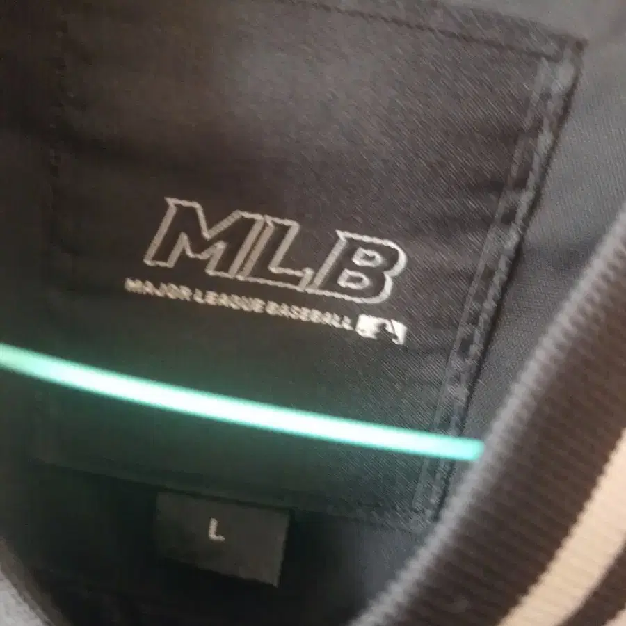 mlb 자켓