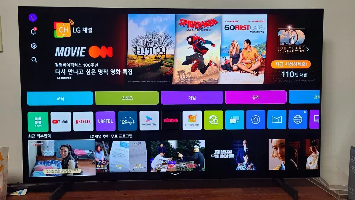 LG OLED 42C4ENA TV/모니터