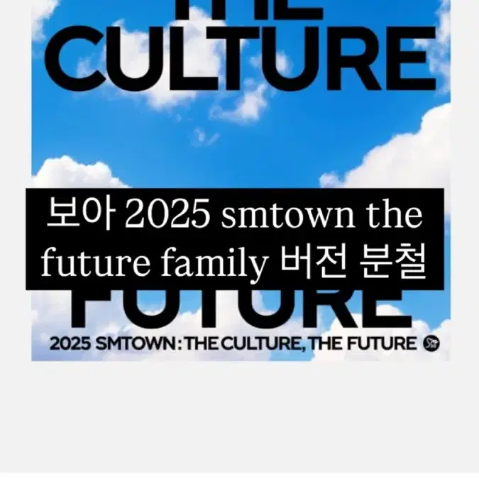 2025보아 smtown the future family 버전분철