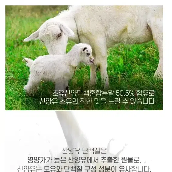 산양유 초유단백질